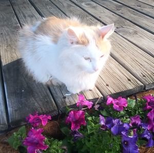 Meet your Posher, Jeanne